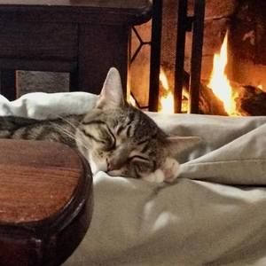 Meet your Posher, Dawn